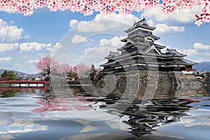 japanese castle in tokyo with cherry blossom