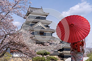 japanese castle in tokyo with cherry blossom