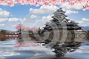 japanese castle in tokyo with cherry blossom photo