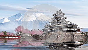 japanese castle in tokyo with cherry blossom