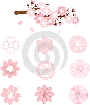 Japanese cherry blossom icons, spring sakura blossom vector icon set