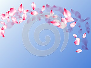 Japanese cherry blossom pink flying petals