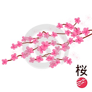 Japonés cereza flor 