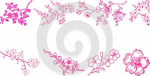 Japanese cherry icon set collection photo