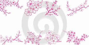 Japanese cherry icon set collection photo