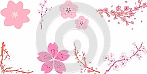 Japanese cherry icon set collection photo