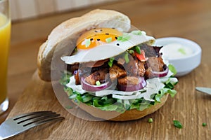 Japanese chicken burger with onions, letucce and egg
