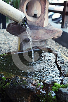 Japanese cho-zu water bamboo