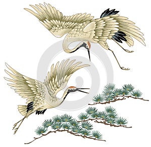 Japanese crane