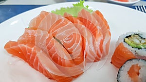 Japanese cuisine, Fresh Salmon sashimi and sushi roll with green salad on white plate  on white background