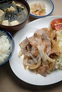 Japanese Cuisine Pork Shogayaki