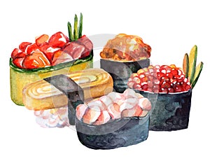 Japanese cuisine sushi set illustration watercolor illustration