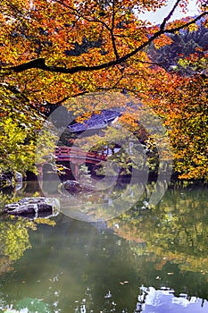 Japanese Cultural Heritage. Serene Famous Daigo-ji Temple During Beautiful Red Maples Autumn Season at Kyoto City in Japan