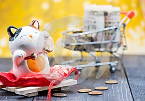 Japanese currency with lucky cat