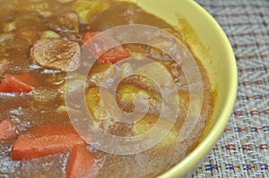 Japanese curry photo