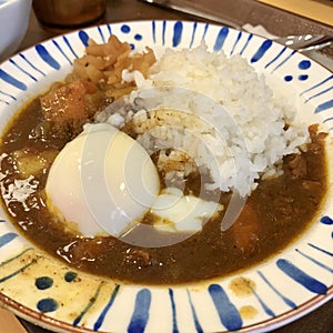 Japanese Curry Rice