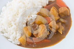 Japanese Curry with rice isolated close up