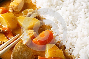 Japanese curry with rice Kare raisu macro. horizontal