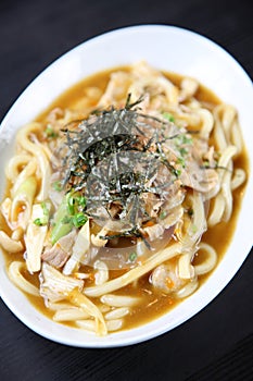Japanese Curry Udon Noodle Soup