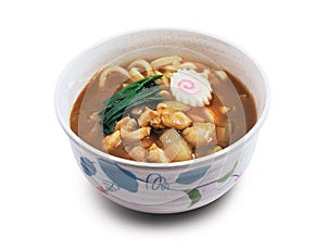 Japanese curry udon noodles with chicken, kare udon