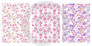 Japanese Cute Cherry Blossom Abstract Vector Background Collection