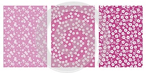 Japanese Cute Pink Cherry Blossom Abstract Vector Background Collection