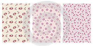 Japanese Cute Pink Flower, Cherry Blossom, Cherry Abstract Vector Background Collection