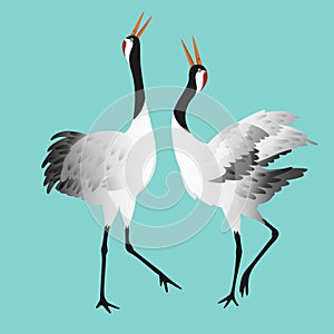 Japanese dancing red-crowned crane in different poses isolated