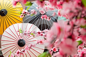 Japanese decoration background