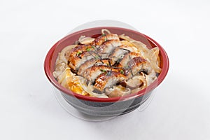 Japanese donburi