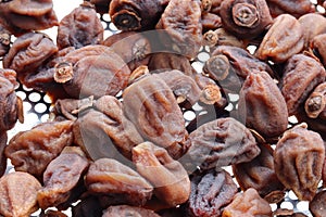 Japanese Dried Persimmon