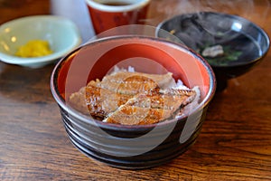 Japanese eel grill on rice, kabayaki on rice in Bowl