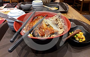 Japanese eel grilled with sliced pork and rice. Food, lunch, dining.