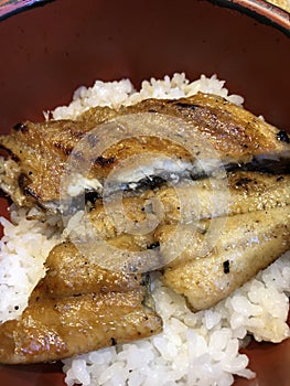 Japanese Eel rice