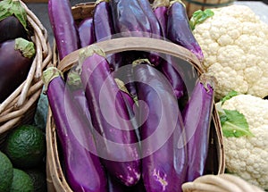 Japanese Eggplants photo