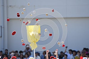 Japanese elementary school sports day