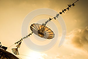 Japanese Fan and Umbrella