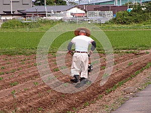 Japanese farmer