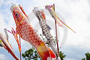 Japanese fish kite on sky background. Koi or koinobori kite in air. Traditional oriental festival decor