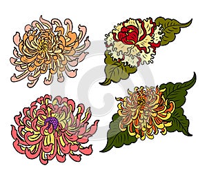 Peony flower for printing on shirt.Floral for doodle art and coloring book on white isolated background.
