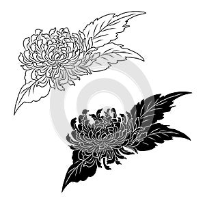 Japanese flower vector for coloring book isolate on white background.