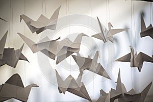 Japanese folded Origami cranes hanging on with strings. Hundreds handmade paper birds isolated with copy space. 1000