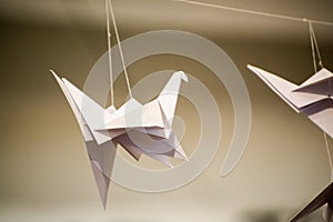 Japanese folded Origami cranes hanging on with strings. Hundreds handmade paper birds isolated with copy space. 1000