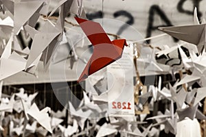 Japanese folded Origami cranes hanging on with strings. Hundreds handmade paper birds isolated with copy space. 1000