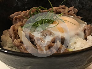 Japanese food, beef with egg on a rice bowl