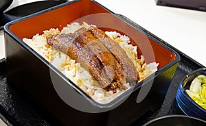 Japanese food eel with kabayaki sauce on rice