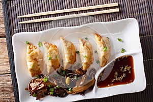 Japanese food: gyoza with shiitake salad and soy sauce close-up. Horizontal top view