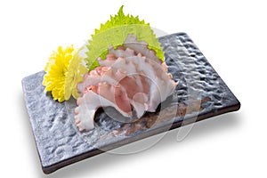 Japanese food octopus tako sashimi photo