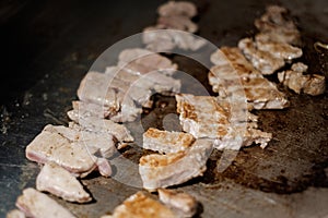 Japanese Food, Teppanyaki, Chicken and Pork Cooking on Hot Plate