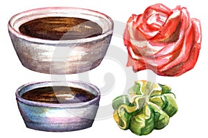 Japanese food wasabi, pickled ginger, soy sauce watercolor illustration